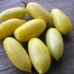 มะเขือเทศใส้กรอกสีครีม - Cream Sausage Tomato