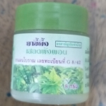 51-101-0310-1 ขี้ผึ้งเสลดพังพอน 8 กรัม ปฐมฯ ขวด โหล