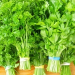 (Whole 1 Oz) พาสเลย์อิตาเลี่ยนใบใหญ่ - Flat Leaf Italian Parsley