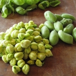 ถั่วลูกไก่ - Garbanzo Bean(Chickpea)