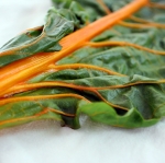 สวิสชาร์ตสีส้ม - Orange Swiss chard