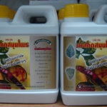 67-101-0410-0 น้ำสกัดสมุนไพร 04 ปฐม 1 ลิตร/ขวด ป้องกันรา