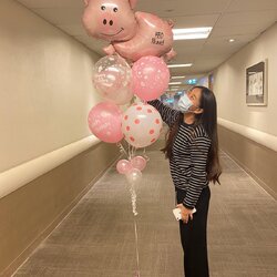 ลูกโป่งหมูวันเกิด