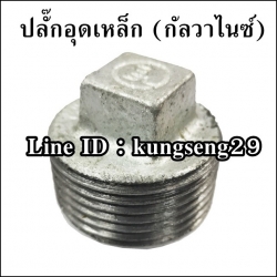 ปลั๊กอุดเกลียวนอก (กัลวาไนซ์)