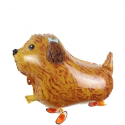 ลูกโป่งหมาพุดเดิ้ล