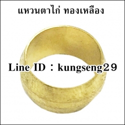 แหวนตาไก่ ทองเหลือง