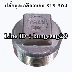 ปลั๊กอุดเกลียวนอก SUS 304