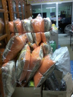 หมอนพิงลายหลุยส์