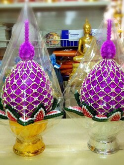 พุ่มบานไม่รู้โรย 6 นิ้ว คลุมตาข่ายดอกพุด