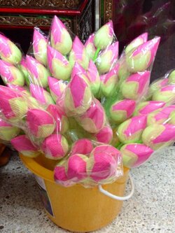 ดอกบัวตูม (ชมพู)