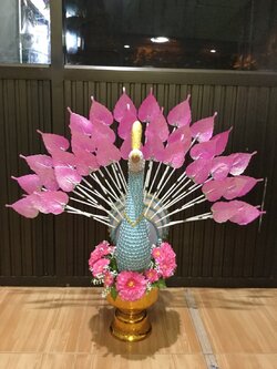 พุ่มกฐิน นกยูง รุ่นใหม่ล่าสุด