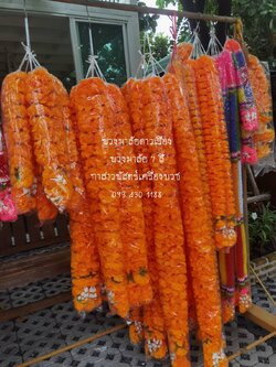 พวงมาลัยดาวเรือง (ดอกเล็ก) ข้างละ 1.5 เมตร