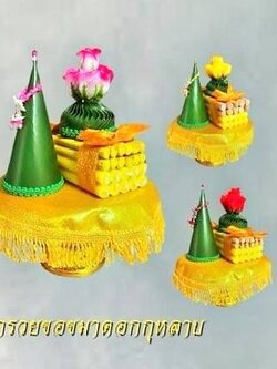 กรวยขมา ดอกกุหลาบ