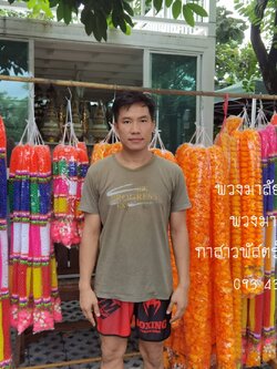 พวงมาลัยดาวเรือง ข้างละ 50 เซนติเมตร (ดอกใหญ่)