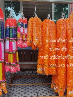 พวงมาลัยดาวเรือง (ดอกเล็ก) ข้างละ 1 เมตร