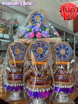 ต้นเทียนโถข้าว *รุ่นใหม่