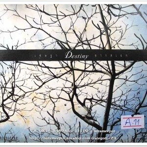 เชษฐษา ยารสเอก ชุด DESTINY สภาพสวย