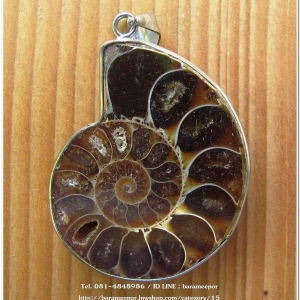 จี้ฟอสซิลหอยแอมโมไนต์ผ่าครึ่ง (Ammonite fossil Pendant) คัดสวย