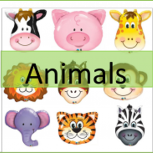 ลูกโป่งสัตว์ANIMAL BALLOON