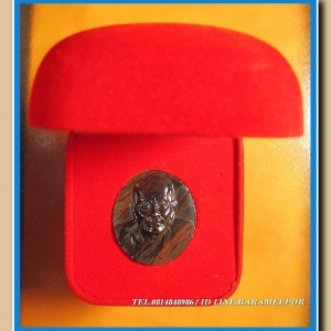 เหรียญหลวงพ่อทวด รุ่นแรก เนื้อหินไทเกอร์ ไอออน เบอร์ 43 รุ่นเปิดโลกเศรษฐี 58 วัดพระมหาธาตุฯนครศรีธรรมราช