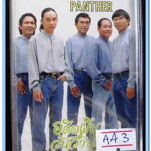 วง พิ้งค์แพนเทอร์ PINK PANTHER ชุด อดีตฝัน วันวาน สภาพซีล