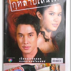 หนังสือ เรื่องย่อจากละครทีวี. กุหลาบเล่นไฟ