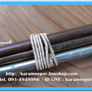 ตะกรุต 3 กษัตริย์ หลวงพ่อแสง ยโสธโร วัดคลองน้ำเจ็ด ตรัง