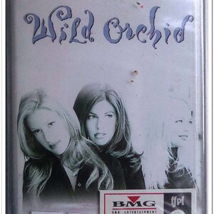 เทปเพลงสากล ลิขสิทธิ์ สภาพซีล N.9