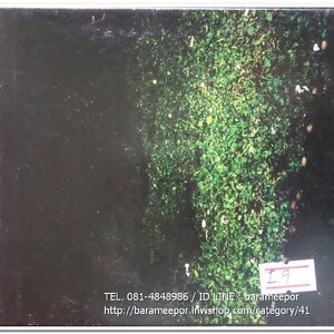 ซีดี. เพลงสากล แผ่นสภาพสวย