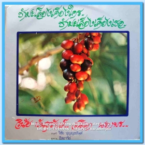 วินัย พันธุรักษ์ วนิดา นภาพร ชุด ชำมะเลียงเคียงใคร ผลงานเพลง อีสอารีย์ ดนตรี วิชัย ปุญญะยันต์