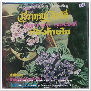 วัชราภรณ์ สุขสวัสดิ์ ชุด ต้องโทษใจ