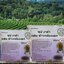 36-112-2100-2 ซุปงาดำผสมข้าวกล้องงอก รสจืด 300กรัม *ภูพาน