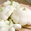 ฟักทองจานบินสีขาว - White Scallop Squash