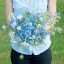ดอกรักในหมอกสีน้ำเงิน - Blue Love in a mist Flower