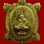 เหรียญพญาเต่าเรือน หลวงพ่อเขียว วัดห้วยเงาะ พ.ศ.2561