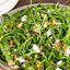(Whole 1 Oz) ไวลด์ร็อคเก็ต - Wild Rocket Arugula