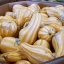ฟักทองคัสซอว์สีส้ม - Cushaw Orange Striped Squash