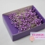 เข็มหมุดหัวมุก ตราช้าง (Pearl Pins)