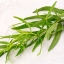 ทาร์รากอน - Tarragon