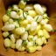 พริกฮาบาเนโร่สีขาว - White Habanero Pepper