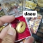 A ไอ้ไข่ ของเก๊ มีออกมาทุกรุ่น จนถึงสรงน้ำ 63 ลองศึกษาเป็นแนวทาง