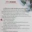 เพียงแรกพบ (ปกแข็ง 2 เล่มจบ) โดย เหวยเหอจ้งจื่อ