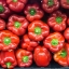พริกหวานแคลิฟอร์เนียสีแดง - Red Sweet Pepper