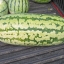(Whole 1 LB) แตงโม จูบิลี่ - Jubilee Watermelon (ปอนด์)