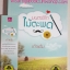 มนตร์รักไม้ตะพด โดย เก้าแต้ม