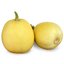 เมล็ดพันธุ์ เมล่อน คริสปี้แพร์เยลโล่ Crispy Pear Yellow F1 Melon Seed