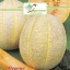 เมล่อน เฮลเบส จัมโบ้ - Hale's Best Jumbo Melon
