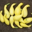 (Whole 1 oz) ฟักทองสครอชคอหงส์ สีเหลือง - Yellow Crookneck Squash