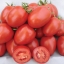 มะเขือเทศริโอ แกรนด์ - Rio Grande Tomato