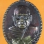 หลวงพ่อแสง รุ่นสร้างมณฑป วัดวังหอม ชะอวด นครศรีธรรมราช